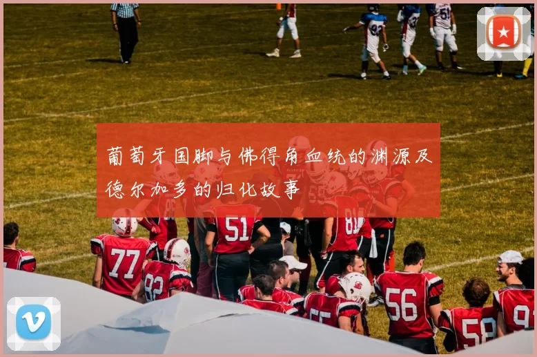 葡萄牙国脚与佛得角血统的渊源及德尔加多的归化故事